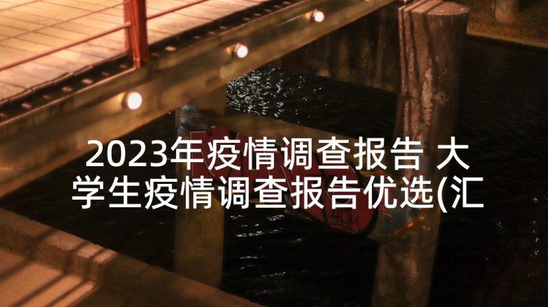 2023年疫情调查报告 大学生疫情调查报告优选(汇总7篇)