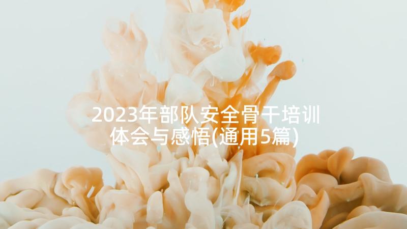 2023年部队安全骨干培训体会与感悟(通用5篇)