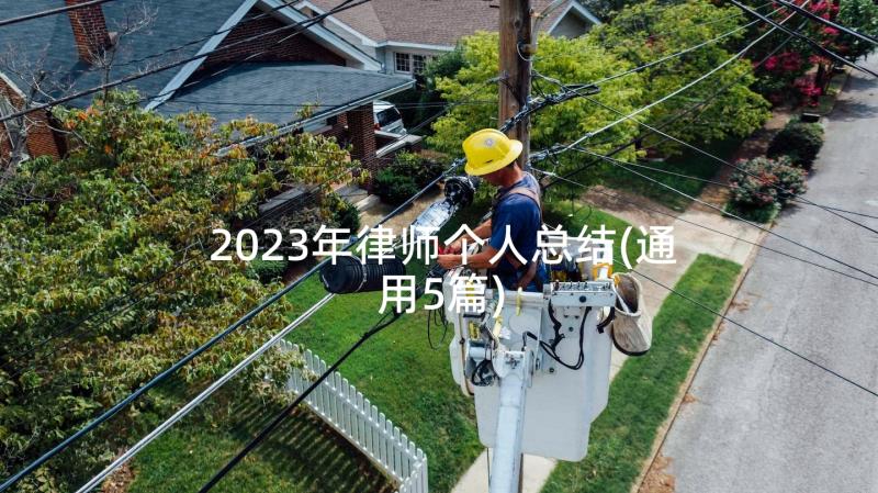 2023年律师个人总结(通用5篇)