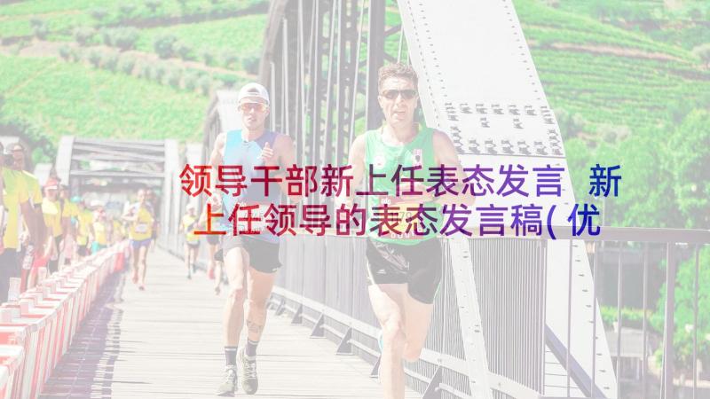 领导干部新上任表态发言 新上任领导的表态发言稿(优质5篇)