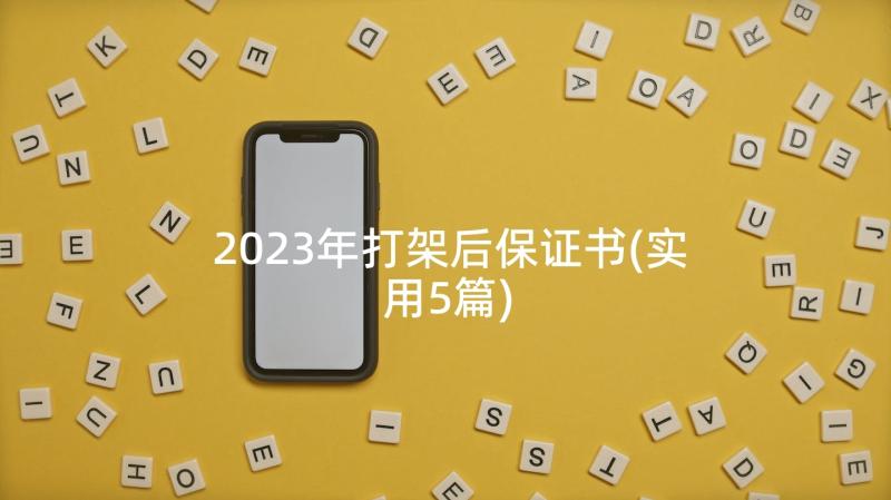 2023年打架后保证书(实用5篇)