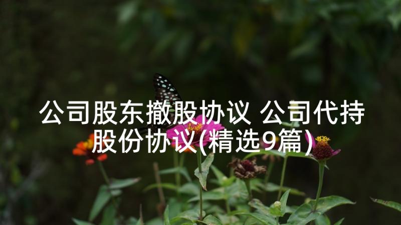 公司股东撤股协议 公司代持股份协议(精选9篇)