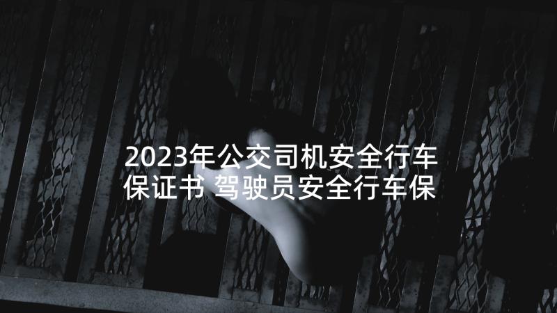 2023年公交司机安全行车保证书 驾驶员安全行车保证书(优秀7篇)