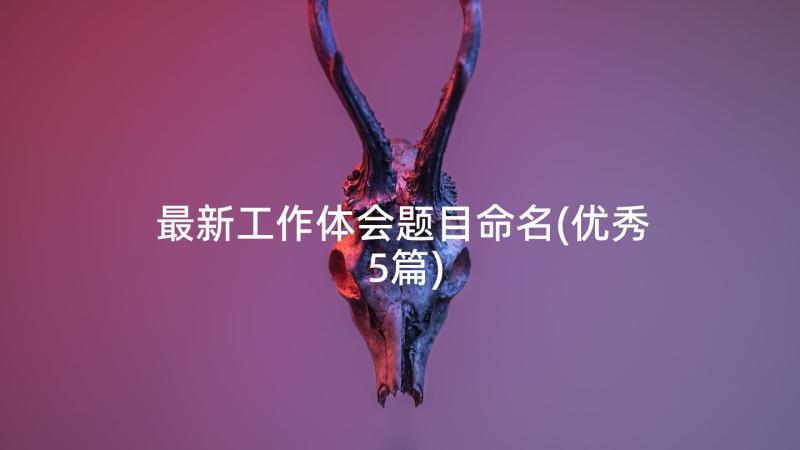 最新工作体会题目命名(优秀5篇)