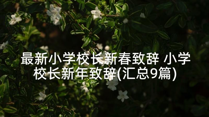 最新小学校长新春致辞 小学校长新年致辞(汇总9篇)