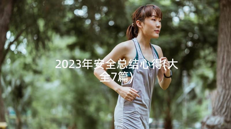 2023年安全总结心得(大全7篇)