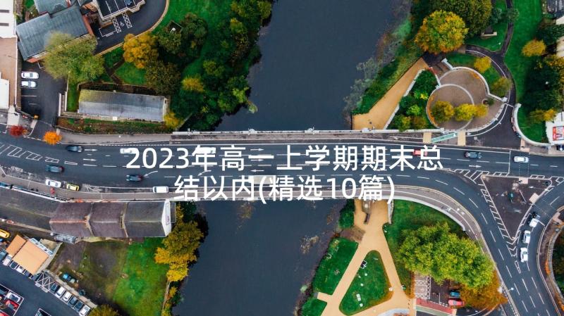 2023年高一上学期期末总结以内(精选10篇)