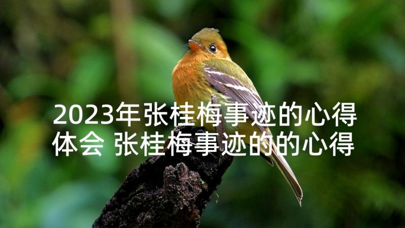 2023年张桂梅事迹的心得体会 张桂梅事迹的的心得体会(大全7篇)