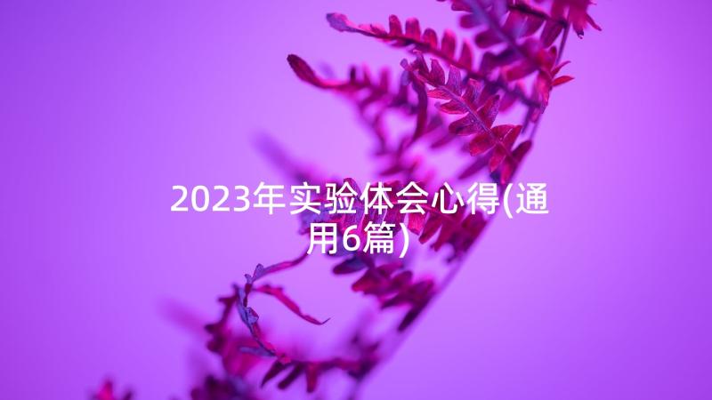 2023年实验体会心得(通用6篇)