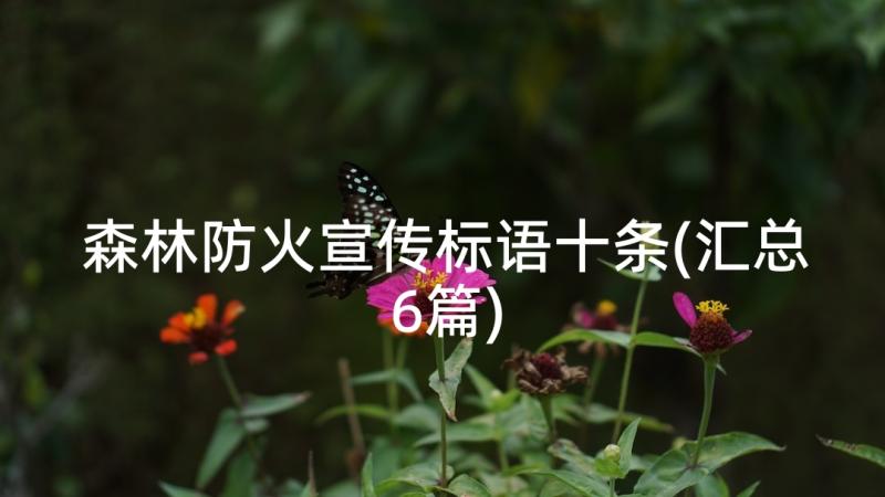 森林防火宣传标语十条(汇总6篇)