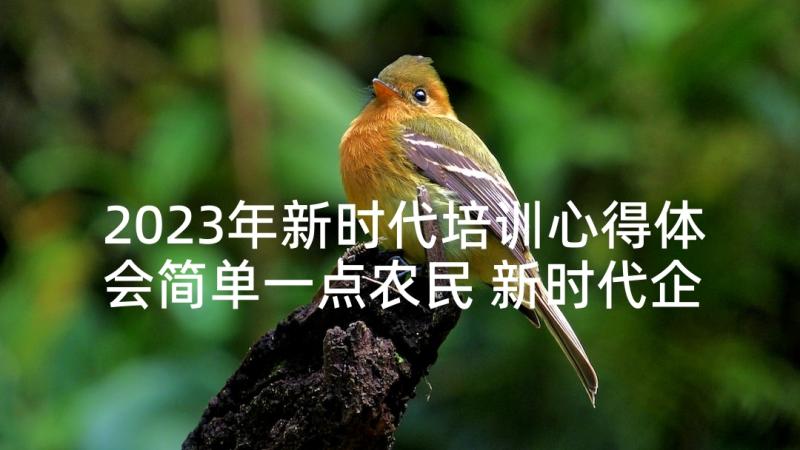 2023年新时代培训心得体会简单一点农民 新时代企业培训心得体会(汇总7篇)