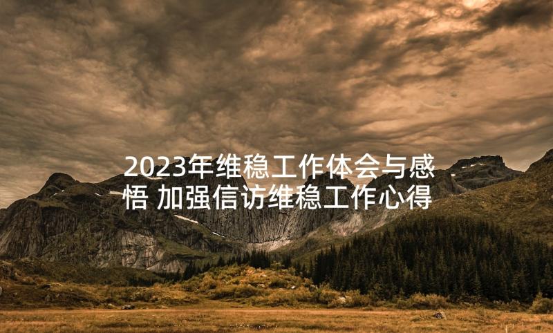 2023年维稳工作体会与感悟 加强信访维稳工作心得体会(模板5篇)