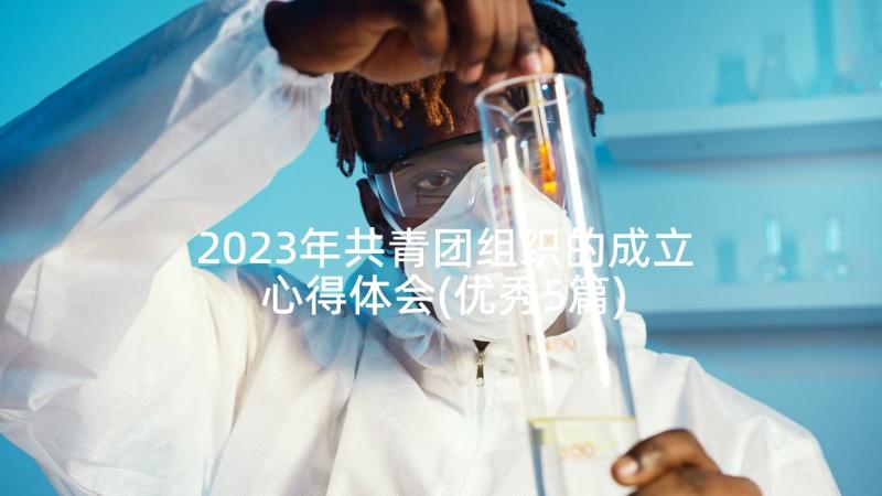 2023年共青团组织的成立心得体会(优秀5篇)