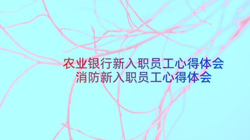 农业银行新入职员工心得体会 消防新入职员工心得体会(通用6篇)