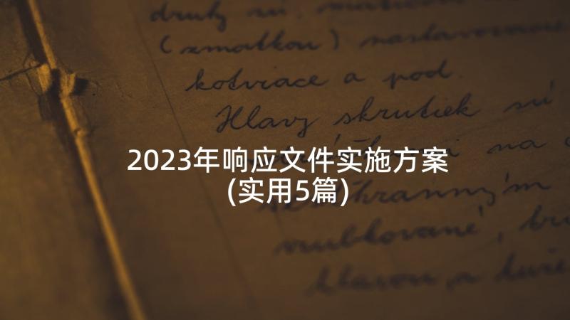 2023年响应文件实施方案(实用5篇)