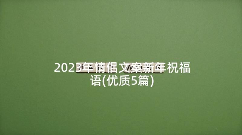 2023年情侣文案新年祝福语(优质5篇)