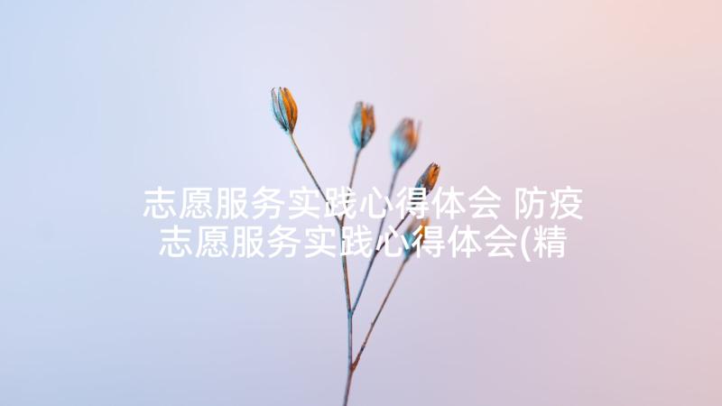 志愿服务实践心得体会 防疫志愿服务实践心得体会(精选5篇)