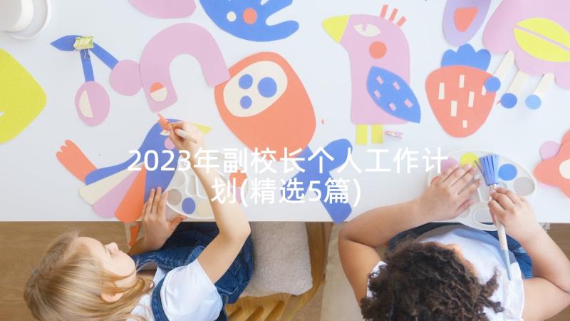 2023年副校长个人工作计划(精选5篇)