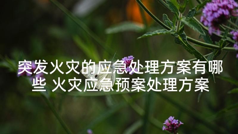 突发火灾的应急处理方案有哪些 火灾应急预案处理方案(汇总5篇)