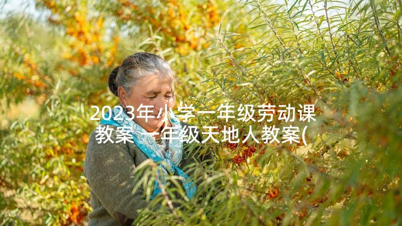 2023年小学一年级劳动课教案 一年级天地人教案(大全8篇)