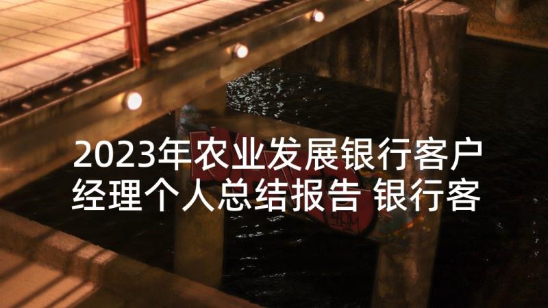 2023年农业发展银行客户经理个人总结报告 银行客户经理个人总结(优质6篇)