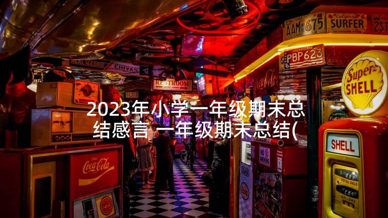 2023年小学一年级期末总结感言 一年级期末总结(大全9篇)