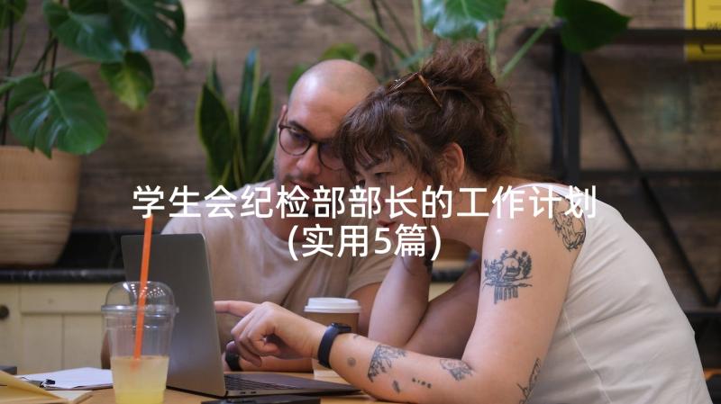 学生会纪检部部长的工作计划(实用5篇)