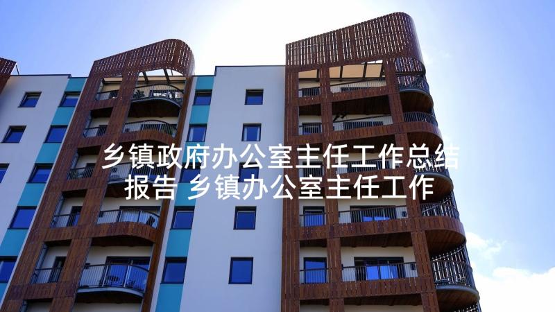 乡镇政府办公室主任工作总结报告 乡镇办公室主任工作总结(精选5篇)