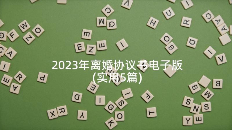 2023年离婚协议书电子版(实用5篇)