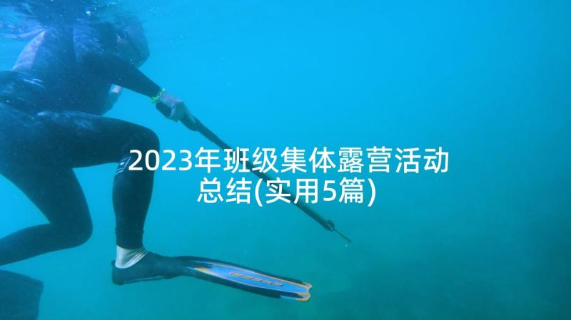 2023年班级集体露营活动总结(实用5篇)