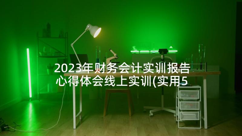 2023年财务会计实训报告心得体会线上实训(实用5篇)