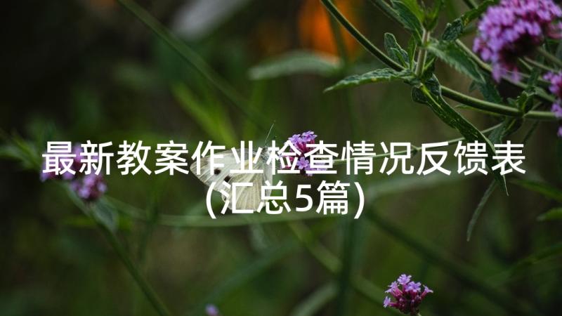 最新教案作业检查情况反馈表(汇总5篇)