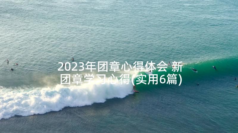 2023年团章心得体会 新团章学习心得(实用6篇)