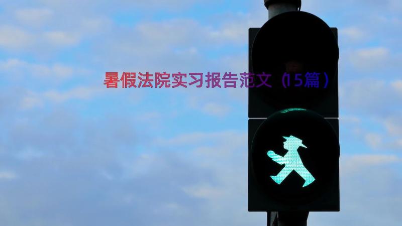 暑假法院实习报告范文（15篇）