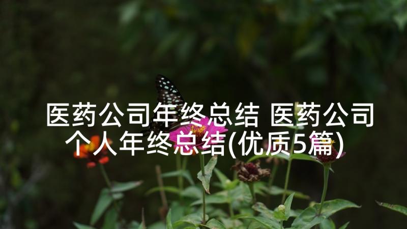 医药公司年终总结 医药公司个人年终总结(优质5篇)