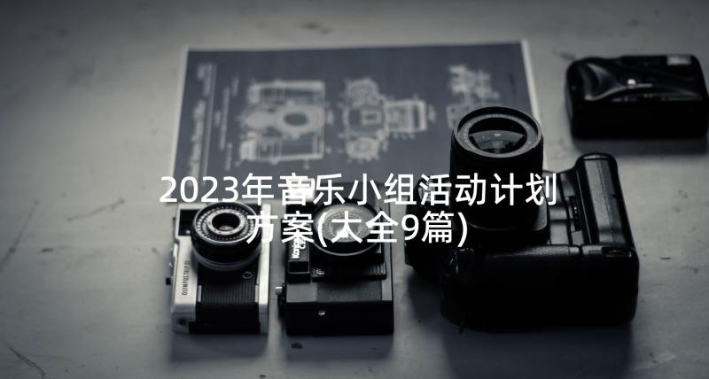 2023年音乐小组活动计划方案(大全9篇)