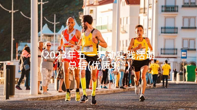 2023年五一劳动实践活动总结(优质9篇)