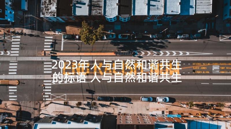 2023年人与自然和谐共生的标语 人与自然和谐共生(优秀7篇)