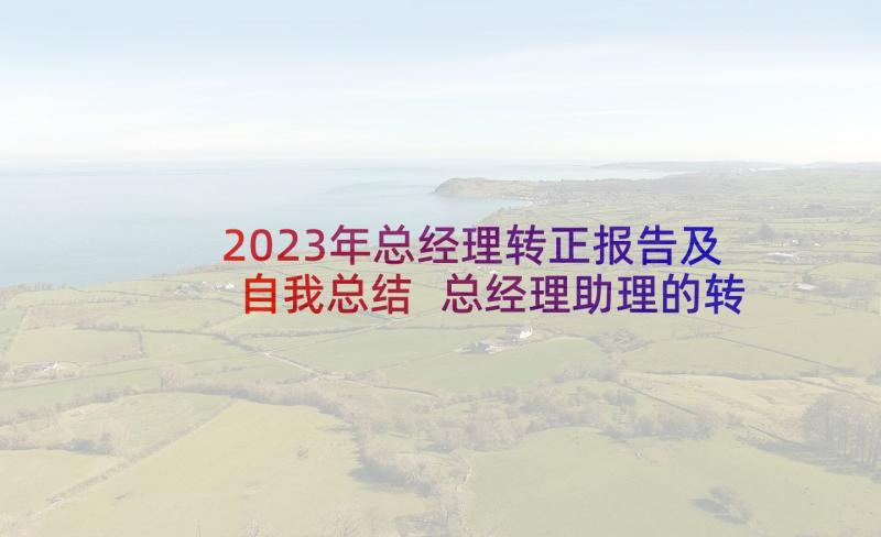 2023年总经理转正报告及自我总结 总经理助理的转正申请书(汇总5篇)