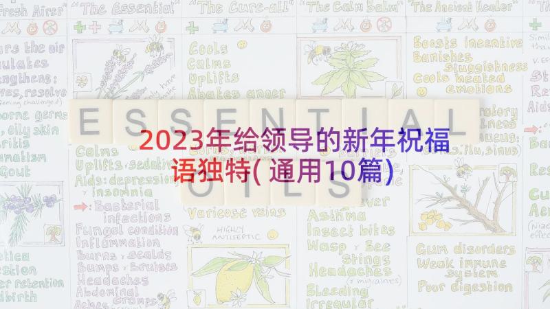 2023年给领导的新年祝福语独特(通用10篇)