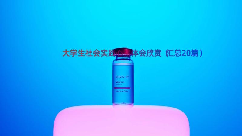 大学生社会实践心得体会欣赏（汇总20篇）