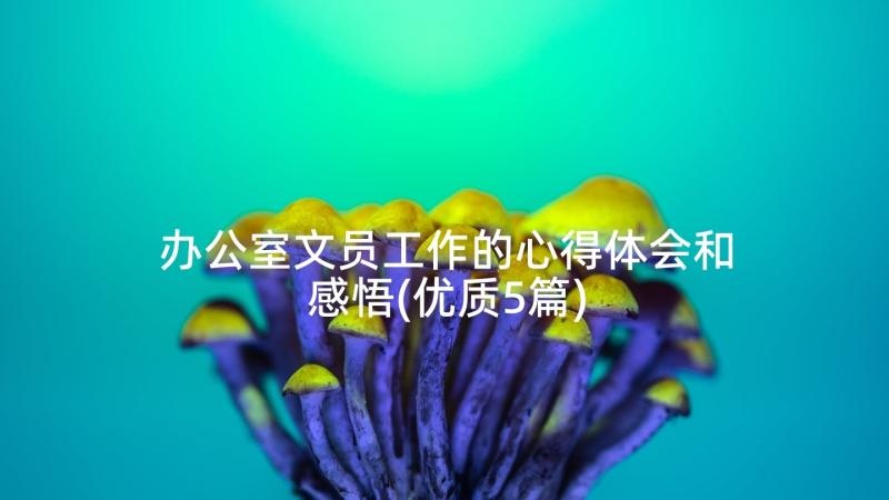 办公室文员工作的心得体会和感悟(优质5篇)