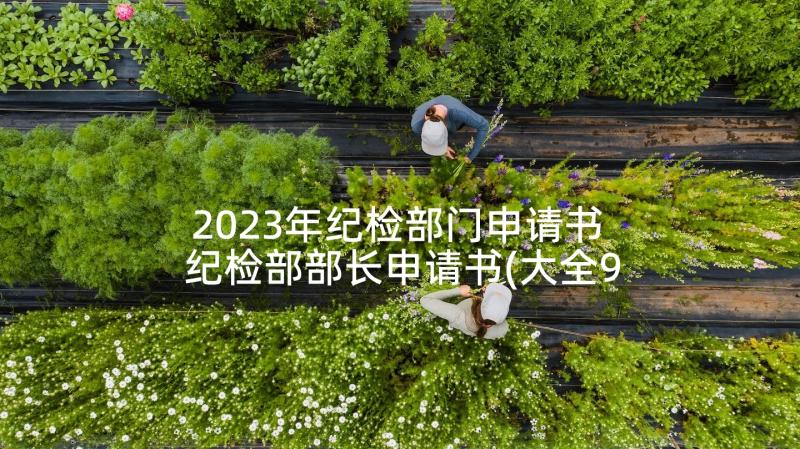 2023年纪检部门申请书 纪检部部长申请书(大全9篇)