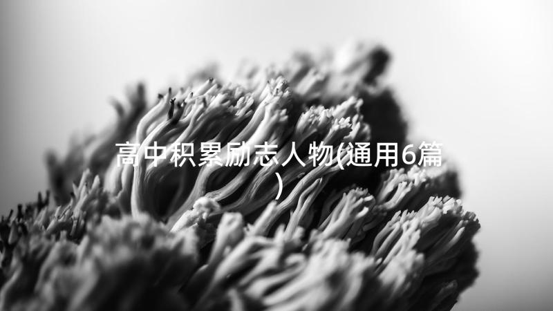 高中积累励志人物(通用6篇)