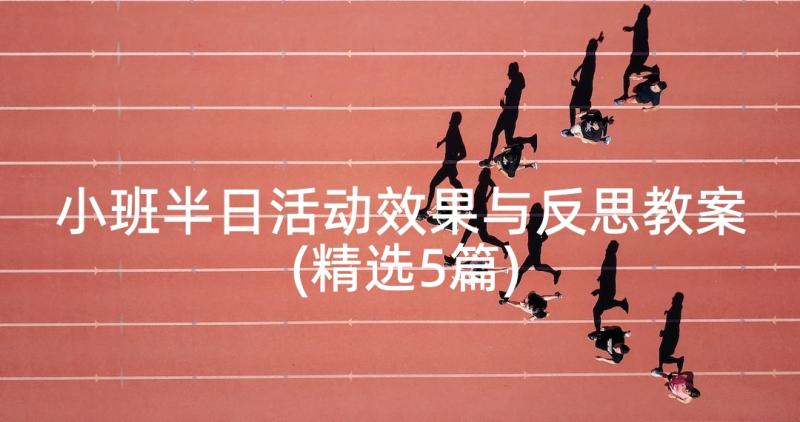 小班半日活动效果与反思教案(精选5篇)