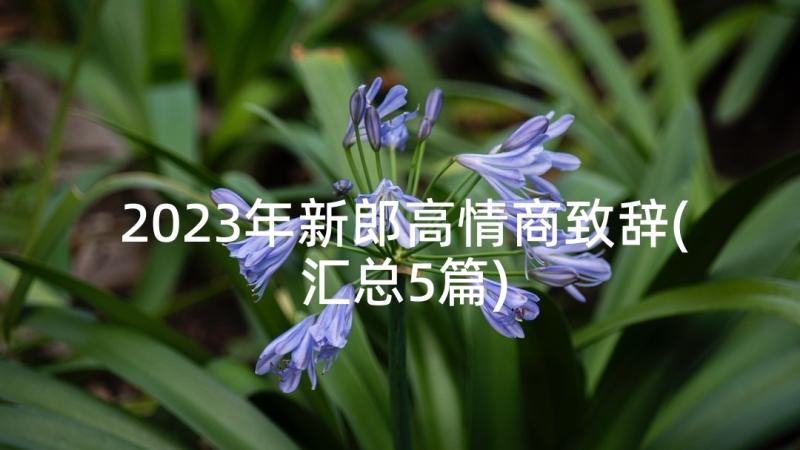 2023年新郎高情商致辞(汇总5篇)