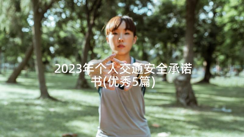 2023年个人交通安全承诺书(优秀5篇)