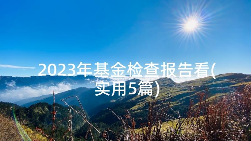 2023年基金检查报告看(实用5篇)