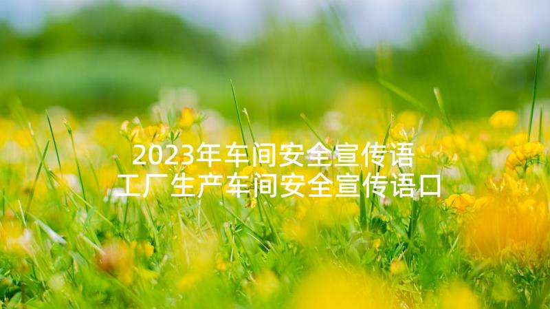 2023年车间安全宣传语 工厂生产车间安全宣传语口号(精选5篇)