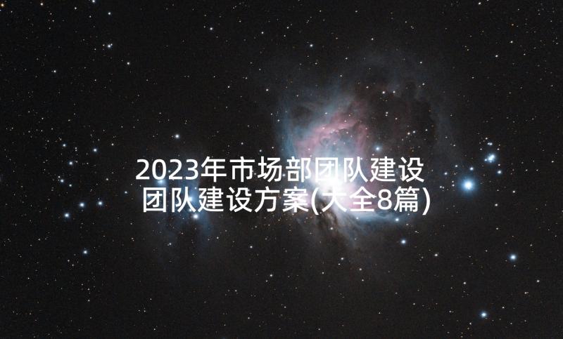 2023年市场部团队建设 团队建设方案(大全8篇)